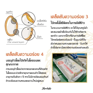 ข้าวญี่ปุ่นโคชิฮิคาริ 5 kg (Koshihikari) ตรา Noritake