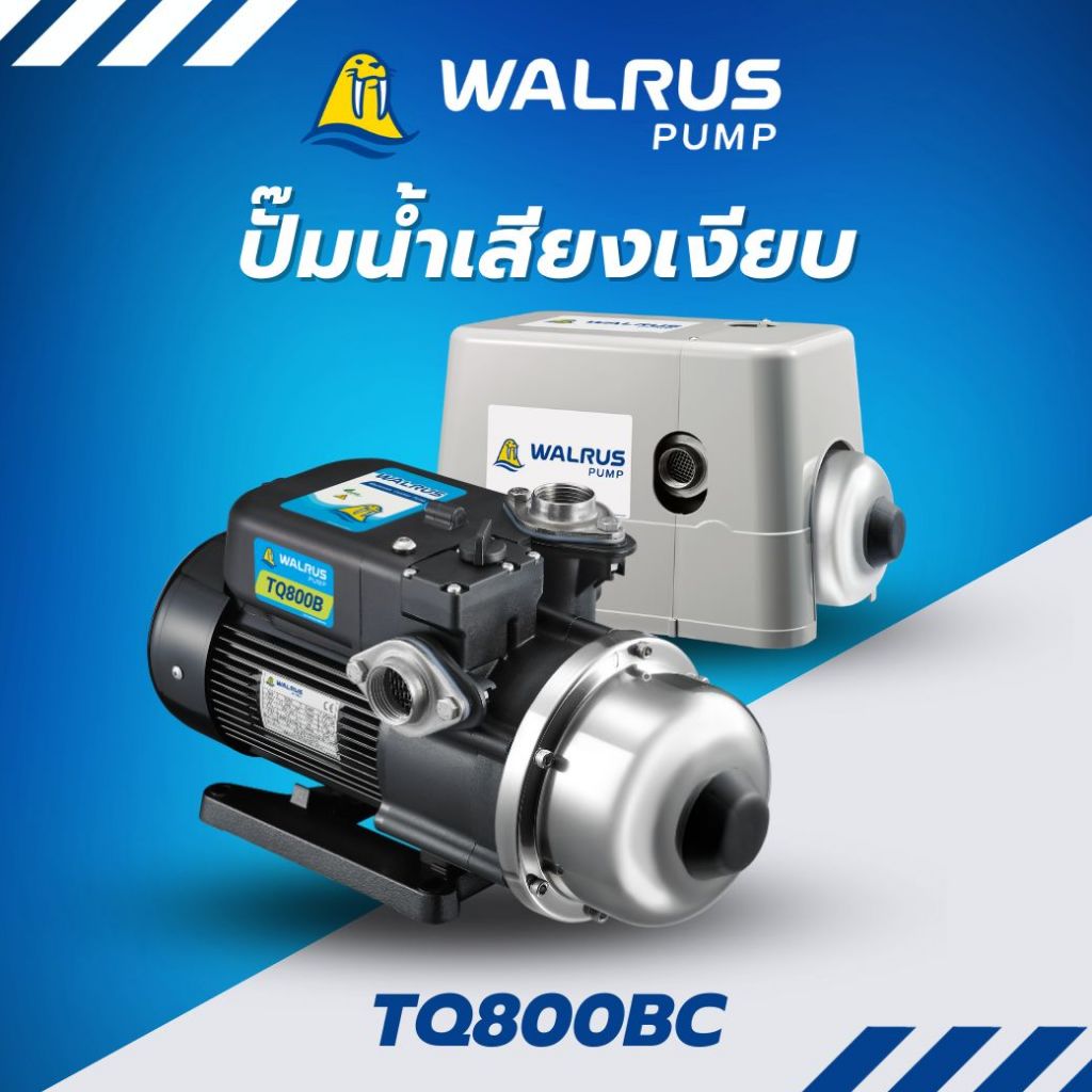 WALRUS PUMP ปั๊มน้ำอิเล็กทรอนิกส์  รุ่น TQ800BC น้ำแรง เสียงเงียบ ท่อ1นิ้ว กำลัง750W มีฝาครอบ