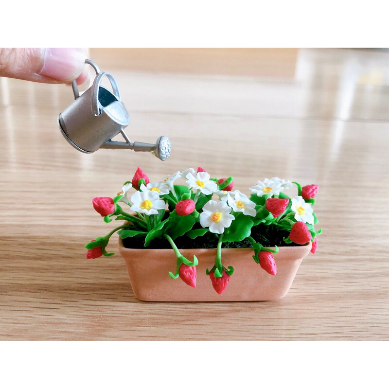 ดินปั้นจิ๋ว ดินปั้นต้นสตอเบอร์รี่🍓 ความสูงโดยรวม 3.5 cm. ราคา/กระถาง