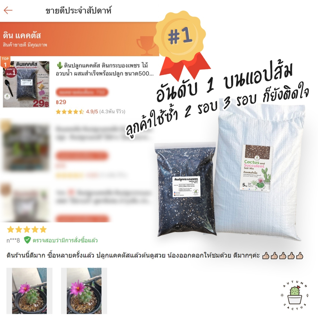 ดินปลูกแคคตัส ดินกระบองเพชร ไม้อวบน้ำ ผสมสำเร็จพร้อมปลูก ขนาด500กรัม (ดินผสมใหม่) ราคา ถูกที่สุด ดีลบีเคเค แกลเลอรีภาพที่ 7