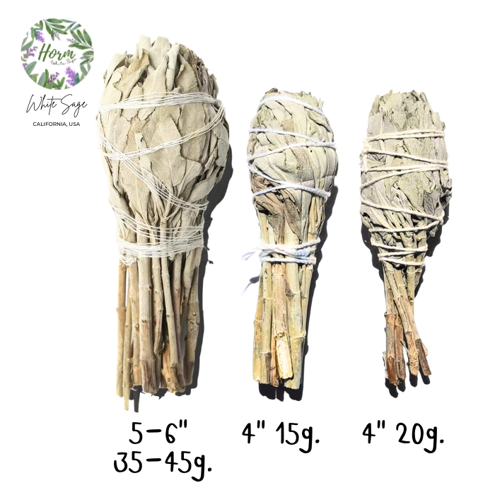 (รุ่นคบเพลิง) White sage 4"-6" แคลิฟอร์เนีย ไวท์เสจ จุดไล่พลังงานไม่ดี ป้องกันพลังงานชั่วร้าย