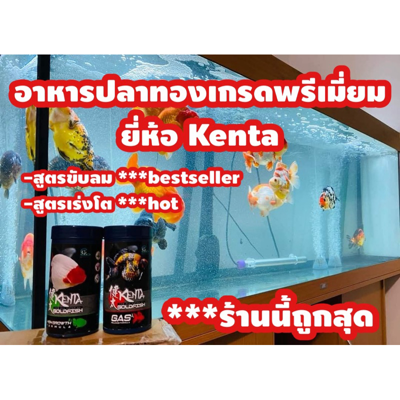 #อาหารปลาทอง #ยี่ห้ออาหารปลาทอง #เคนตะ #สูตรขับลม #ลดท้องอืดเสียการทรงตัว #อาหารปลาเคนตะ