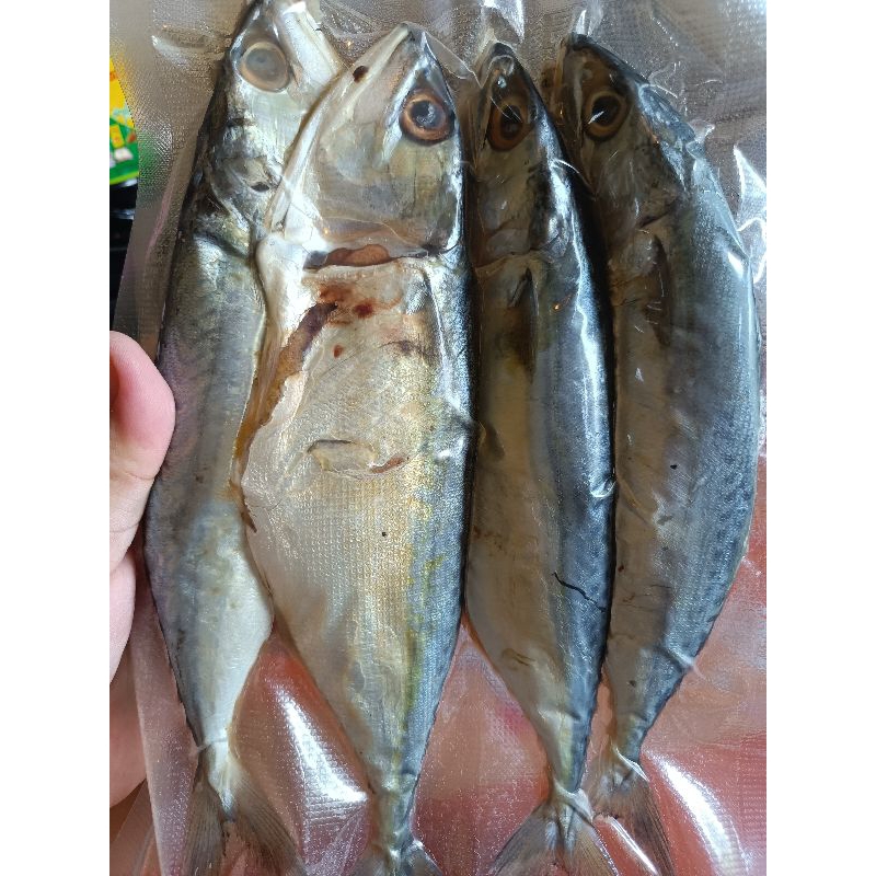 ปลาทูมัน ปลาทูหอม ไตปลาขวด  by แม่กัปตัน พร้อมส่ง💯 3ตัว/แพ็คไซส์ใหญ่