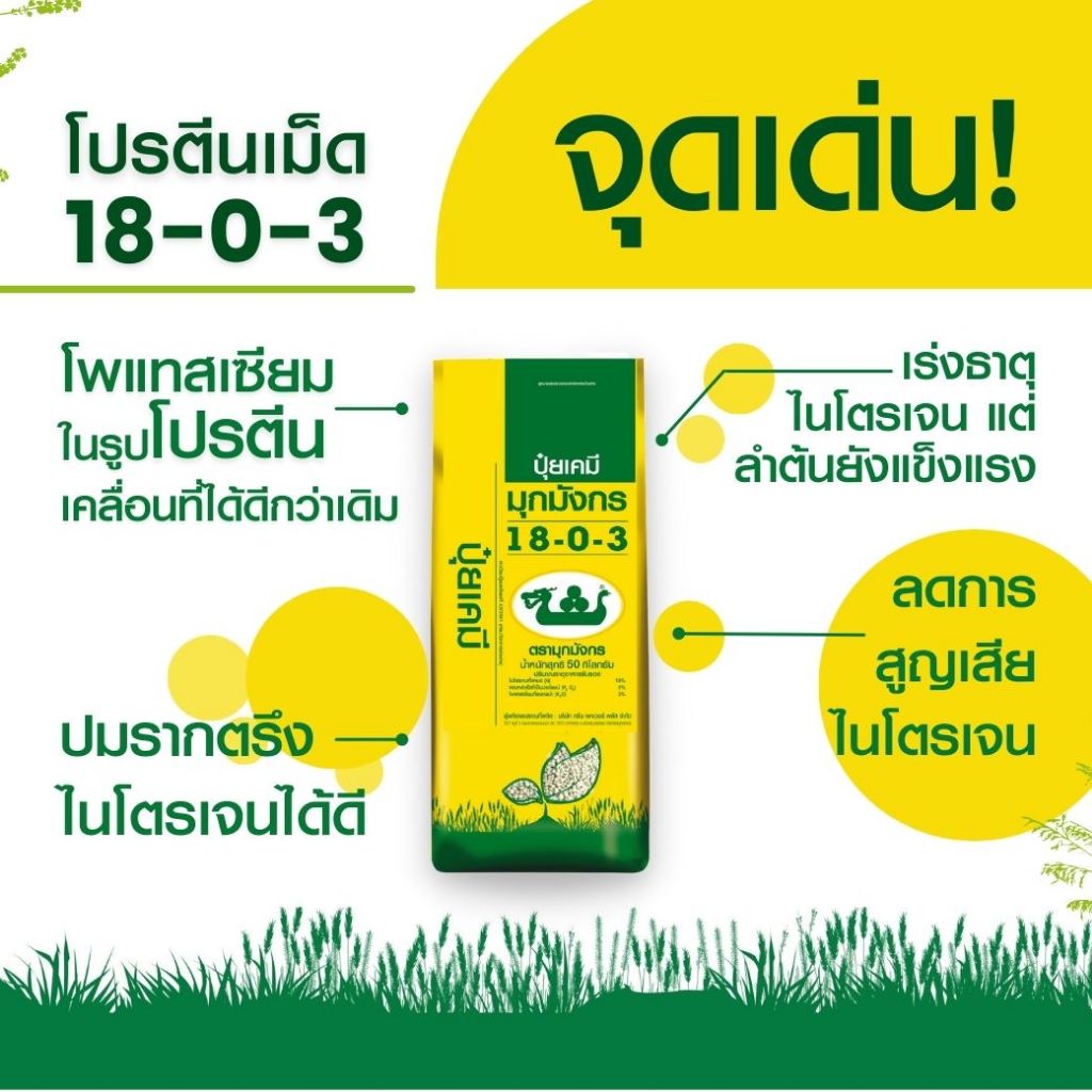 ปุ๋ยโปรตีนเม็ด ตรามุกมังกร  18-0-3  ( 50 กิโลกรัม)