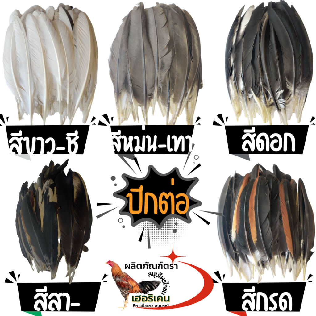 ปีกต่อ ขนต่อปีกไก่ ปีกไก่ชน สีสา,ดอก,กรด,หม่น,ขาว 1ชุดมีมากกว่า40เส้น มีทั้งปีกซ้ายและขวา คัดพิเศษ
