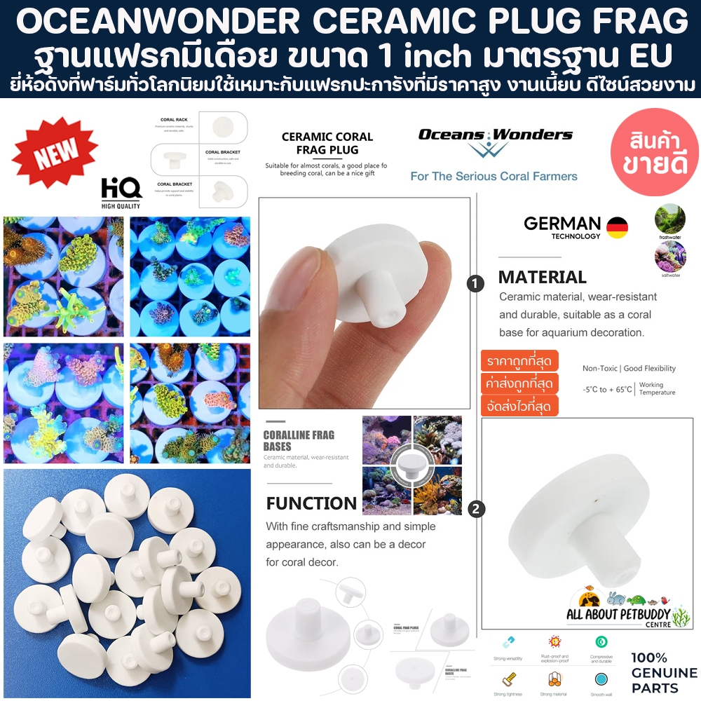 Ocean Wonders Ceramic Plug Frag ฐานแฟรกปะการัง 2.5cm รุ่นมีเดือย พร้อมใช้ผ่านการบำบัดอย่างดี ปลอดภัยต่อระบบ แฟรก ปลาทะเล
