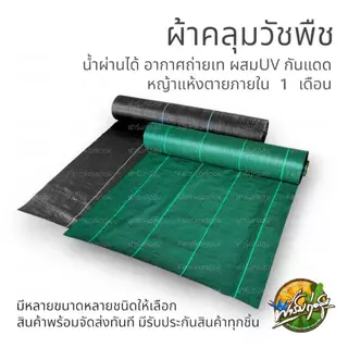 พลาสติกคลุมวัชพืช ผ้าคลุมหญ้า พลาสติกเกรดส่งออก ผสมUV ฆ่าหญ้า เห็นผลไวถายใน 1เดือน อยุ่ทนกว่า 3-5 ปี