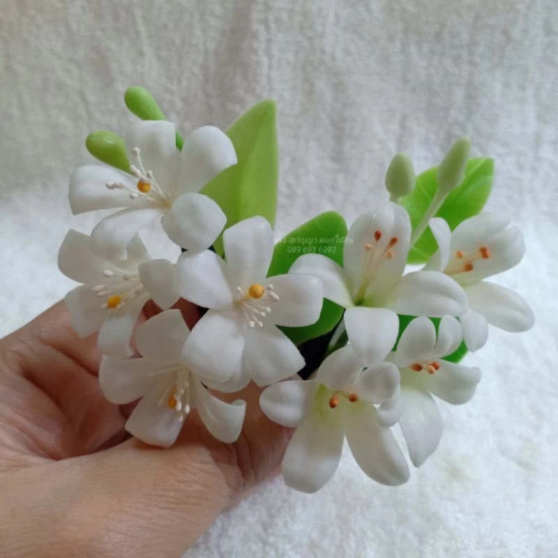 ดอกแก้ว, ดอกกาสะลอง(ดอกปีบ), ดอกไม้ดิน, กิ๊ปปากเป็ดประดับดอกแก้ว,ดอกปีบ