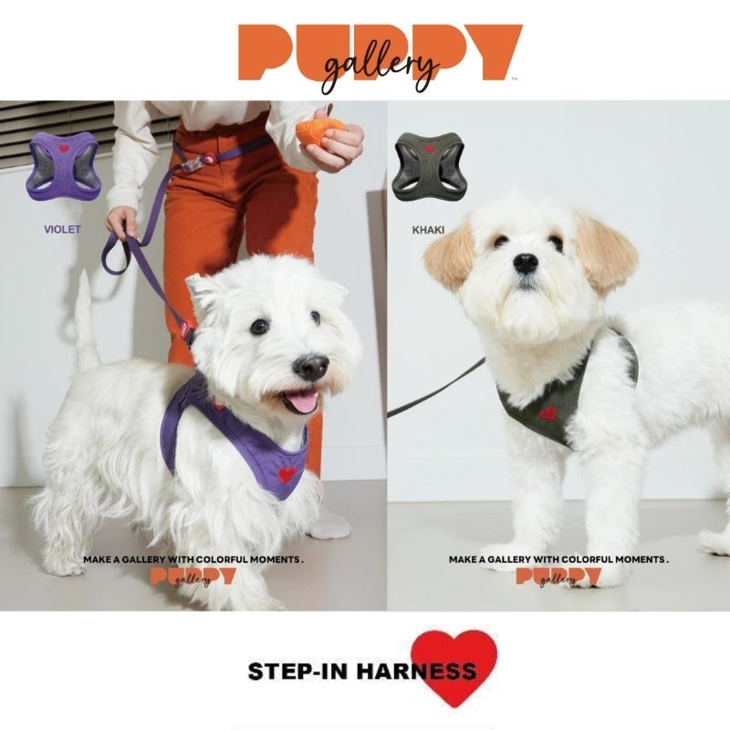 New color! Weather proof harness ฮาเนสสีใหม่ เสื้อรัดอกลายหัวใจ สุดน่ารัก รุ่นระบายอากาศ น้ำหนักเบา ทนทานต่อคราบสกปรก