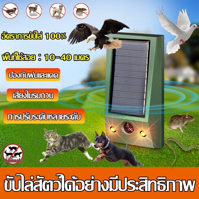 🔊10000เมตร ไม่มีนกหรือหนู🔊 ที่ไล่นก ก้อนไล่นก เครื่องไล่สัตว์ เครื่องไล่นก  ไล่สัตว์ อัลตราโซนิก 360° เครื่องไล่แมว
