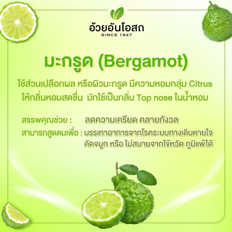 🔥แท้💯%ค่าส่งถูก🚘ยาดมสมุนไพร อ้วยอันโอสถ 1โหล (ยกกล่อง) ยาดมมังกรทอง หอม สดชื่น ยาดมมังกรทอง - รูปที่ 6