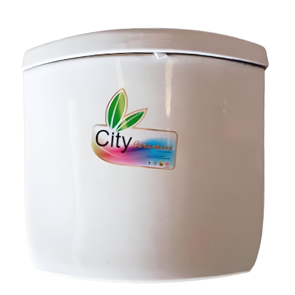 "City"หม้อน้ำสุขภัณ์รุ่นCT2251(เฉพาะหม้อ)