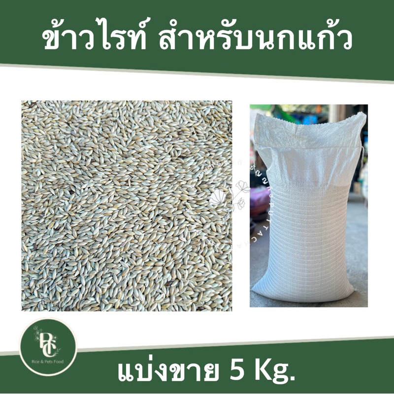 ข้าวไรท์ อาหารสำหรับนกแก้ว ขนาด 5kg.