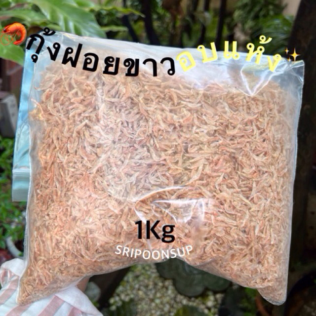 กุ้งฝอยขาวอบแห้งไซส์ M (กลาง) แบ่งขาย 500g รูปที่ 4