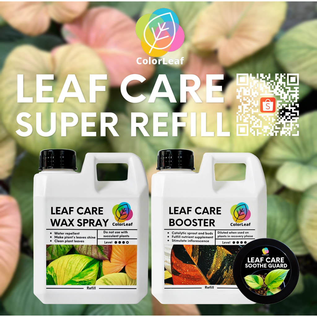 Color Leaf : LEAF CARE SUPER REFILL ชุดผลิตภัณฑ์ ทำความสะอาดเคลือบเงาใบไม้ บำรุงเร่งหน่อ และ ปูนทาแผลป้องกันเชื่อรา