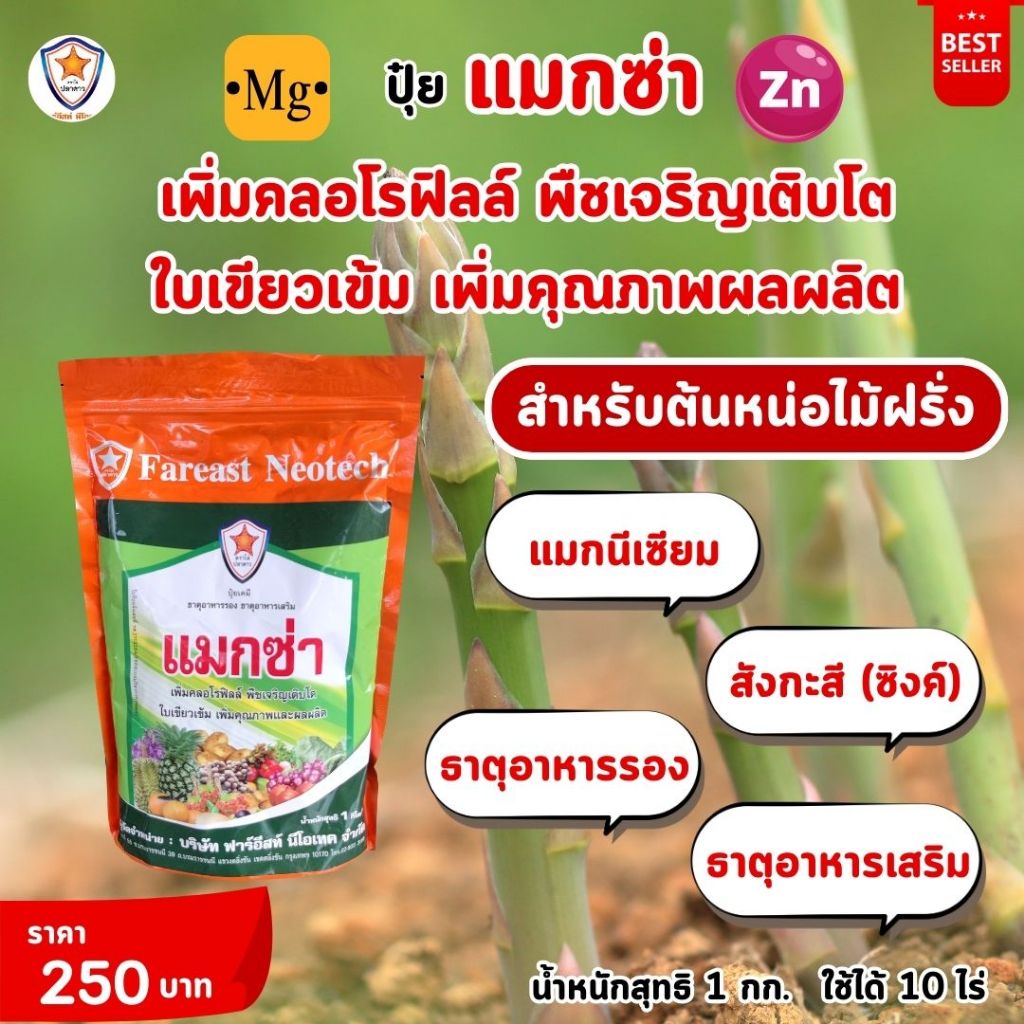 ธาตุอาหารรอง ธาตุอาหารเสริม ที่จำเป็นของต้นหน่อไม้ฝรั่ง แม็กนีเซียม ซิงค์ สร้างความแข็งแรง บำรุงดิน บำรุงพืช ด้วยแมกซ่า