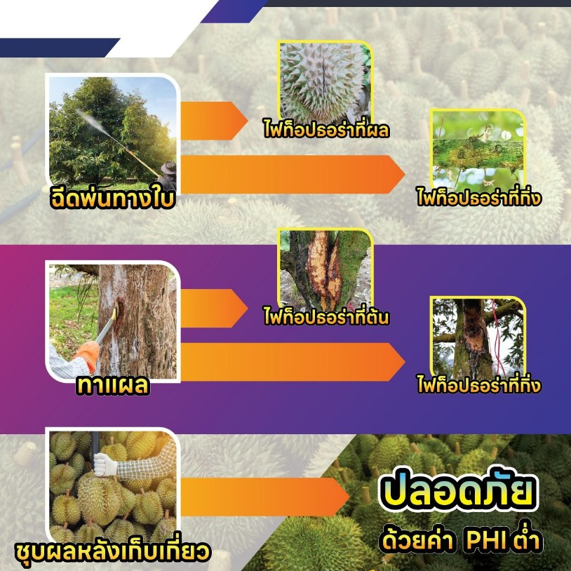 โมโวชั่น ยาเชื้อราไฟท็อธอร่า ฟิวซาเรียม ลาสิโอดิพโพรเดีย  ไซมอกซานิล 30% + ฟามอกซาโดน 22.5%WG ขนาดซอง 100 กรัม - รูปที่ 2