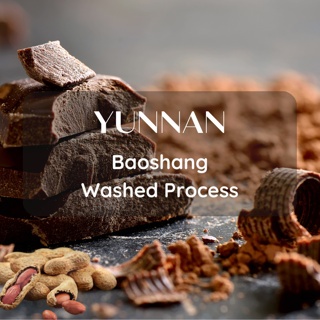 สารเมล็ดกาแฟ Yunnan Baoshang Washed Process ขนาด 5 kg