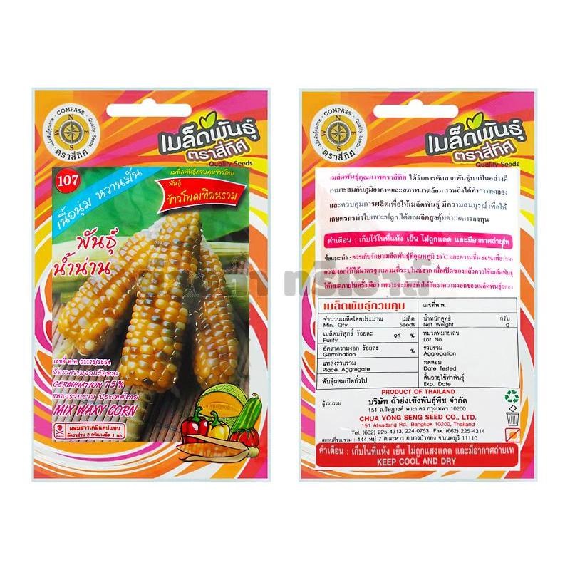 เมล็ดข้าวโพดเทียนรวม พันธุ์น้ำน่าน รหัส KTA4753