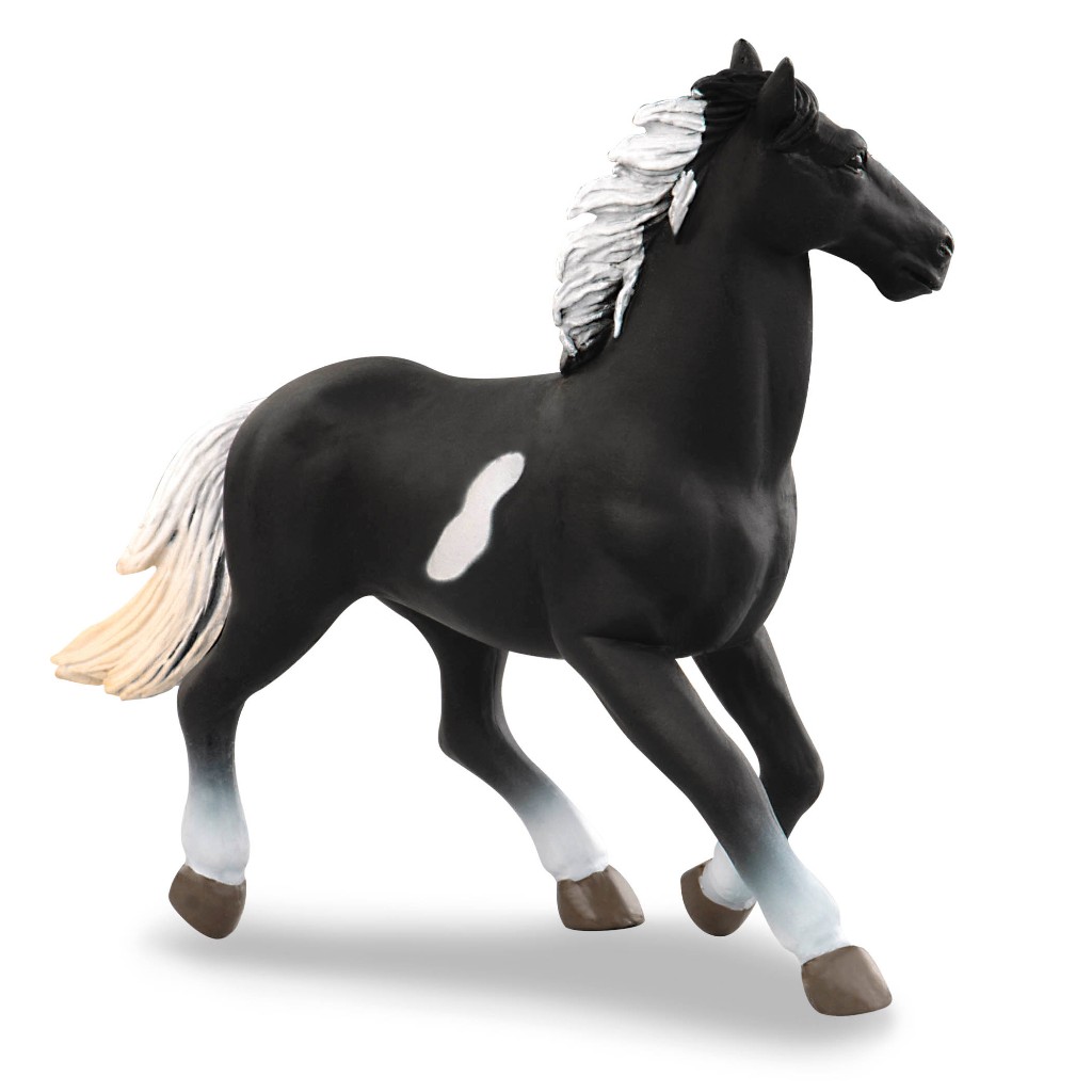 Terra PINTO STALLION - AN2675Z