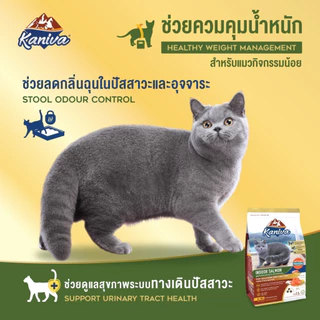 Kaniva Indoor Salmon Formula 8 kg. อาหารแมวคานิว่า สูตรแมวเลี้ยงภายในบ้าน เนื้อปลาแซลมอน สำหรับแมว 4 เดือนขึ้นไป