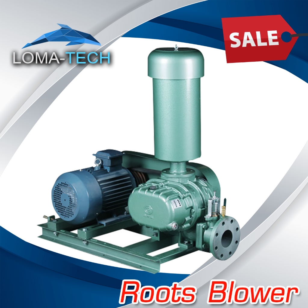 รูทโบลเวอร์ Roots Blower ขนาด 3 นิ้ว
