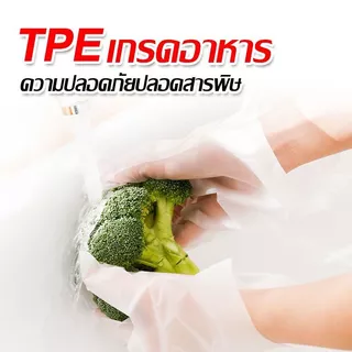 Vimall ถุงมือทำอาหาร TPE อเนกประสงค์ ใช้แล้วทิ้ง เหนียว ไม่ขาดง่าย 100 ชิ้น/กล่อง Food Grade