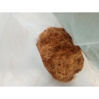 ขุยมะพร้าว​ ขนาด​ 800​ กรัม