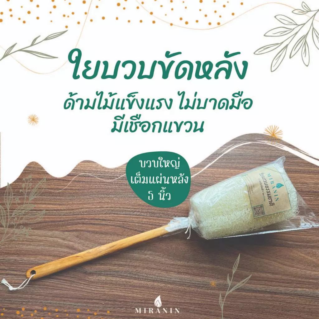 ใยบวบขัดหลัง ไม้ขัดหลัง ใยบวบ 5 นิ้ว ด้ามไม้แข็งแรง