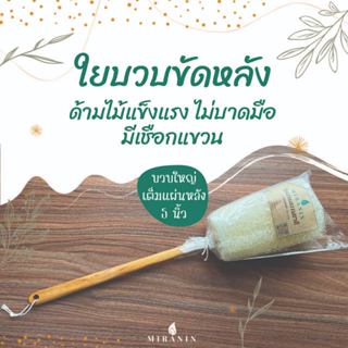 ใยบวบขัดหลัง ไม้ขัดหลัง ใยบวบ 5 นิ้ว ด้ามไม้แข็งแรง