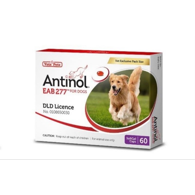 Antinol For Dog 60 Cap ( อาหารเสริมบำรุงข้อสำหรับสุนัข 1กล่อง บรรจุ 60 เม็ด )