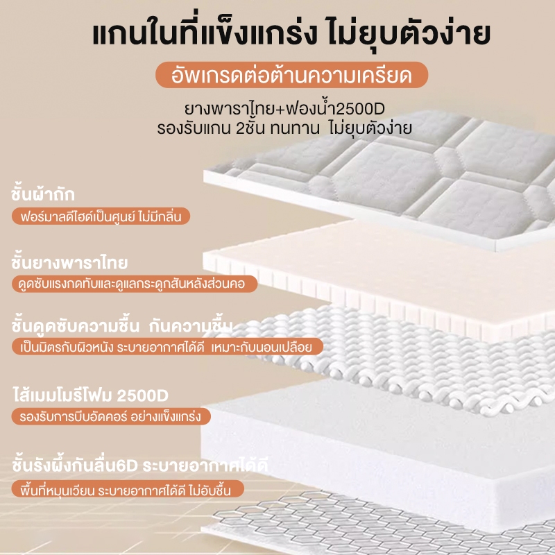 Sunfay ที่นอนยางพารา