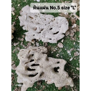 หินแผ่น size "M" ขนาด 4" นิ้ว บรรจุ 1 กก,ได้ประมาณ 4/5 แผ่น ตกแต่งตู้ปลาทะเล บำบัด พร้อมลงตู้