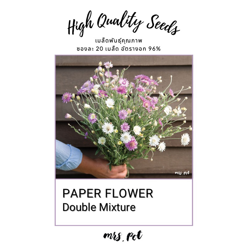 เมล็ดดอกกระดาษ Double Mix paper flower รหัส130