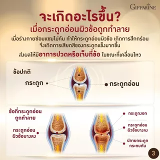 ชุดบำรุงกระดูก บำรุงข้อเข่า กิฟฟารีน น้ำมันปลา ชุดอาหารเสริม แคลเซียม น้ำมันตับปลา Fish oil Calcium