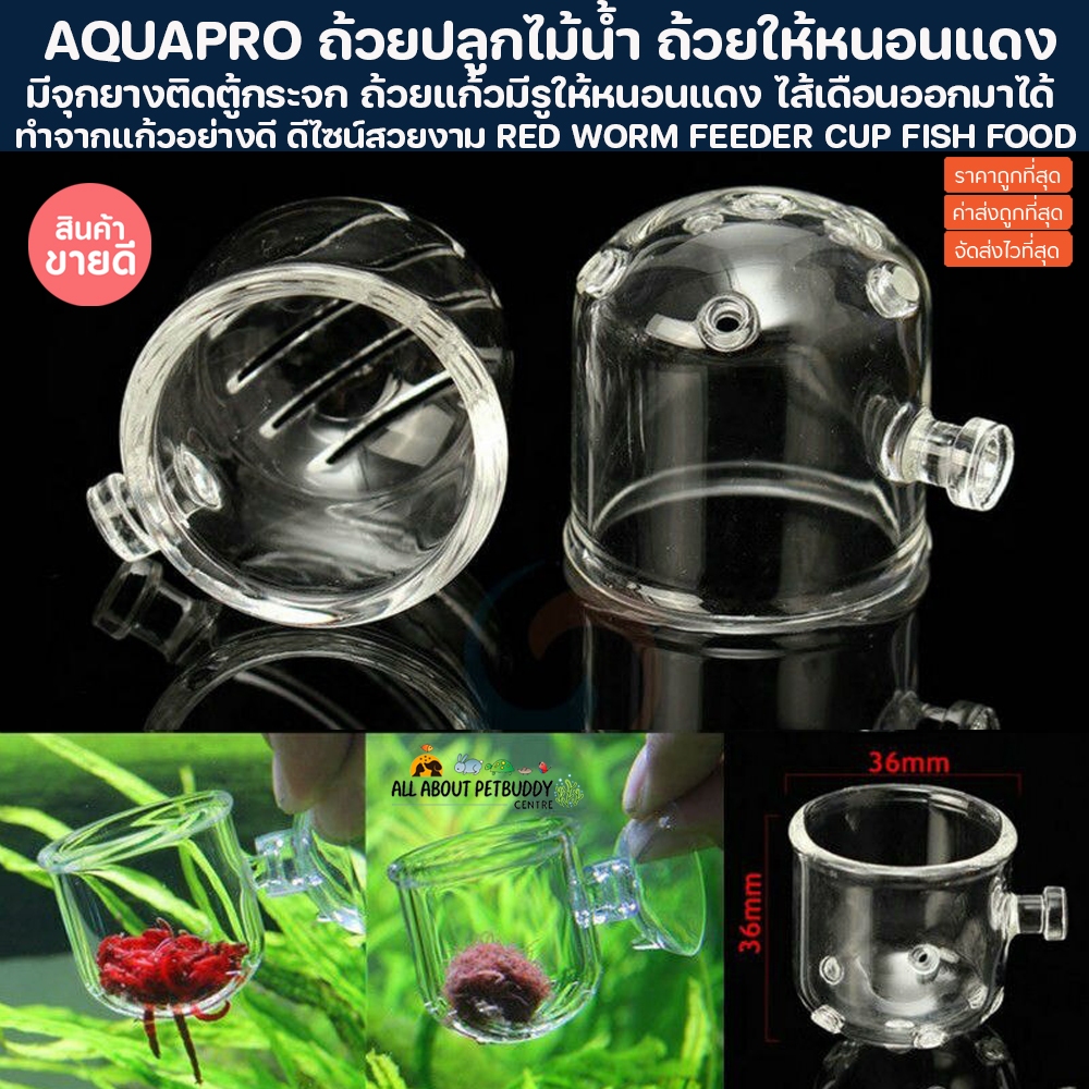ถ้วยแก้ว ใส่หนอนแดง 36mm. ไส้เดือนไว้ให้อาหารปลา มี 2 แบบ ถ้วยปลูกไม้น้ำ ถ้วยให้หนอนแดง ทำจากแก้วอย่างดี ดีไซน์ปลาสวยงาม