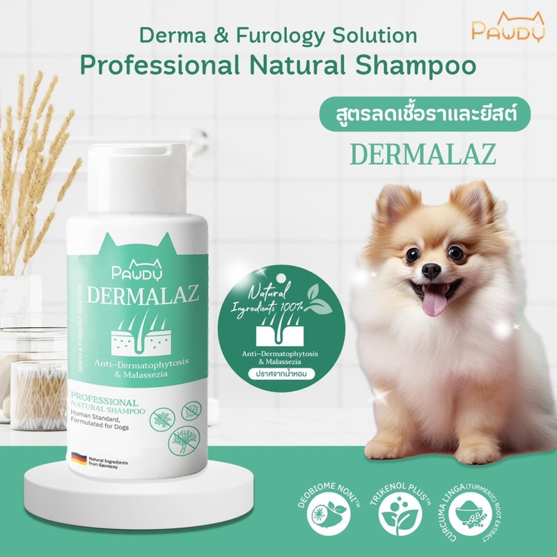 แชมพูอาบน้ำสุนัข Pawdy สูตรลดเชื้อรา และยีสต์ ปราศจากน้ำหอม กลิ่นธรรมชาติ (ขนาด 250ml หรือ 500ml)