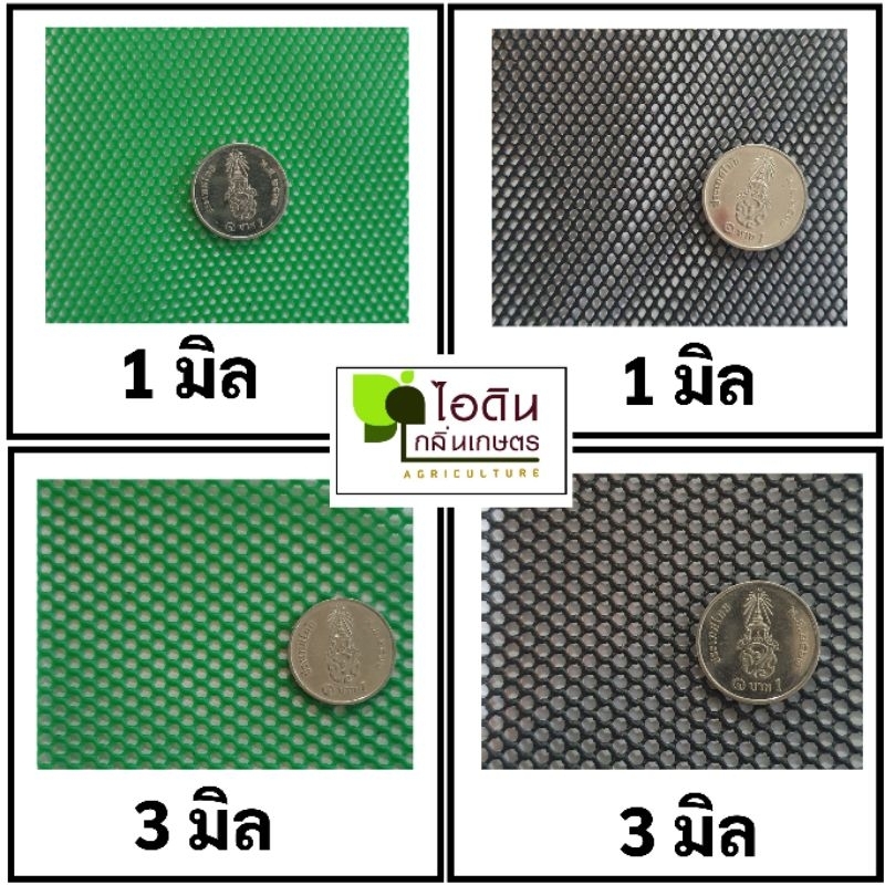 รูปภาพ 5