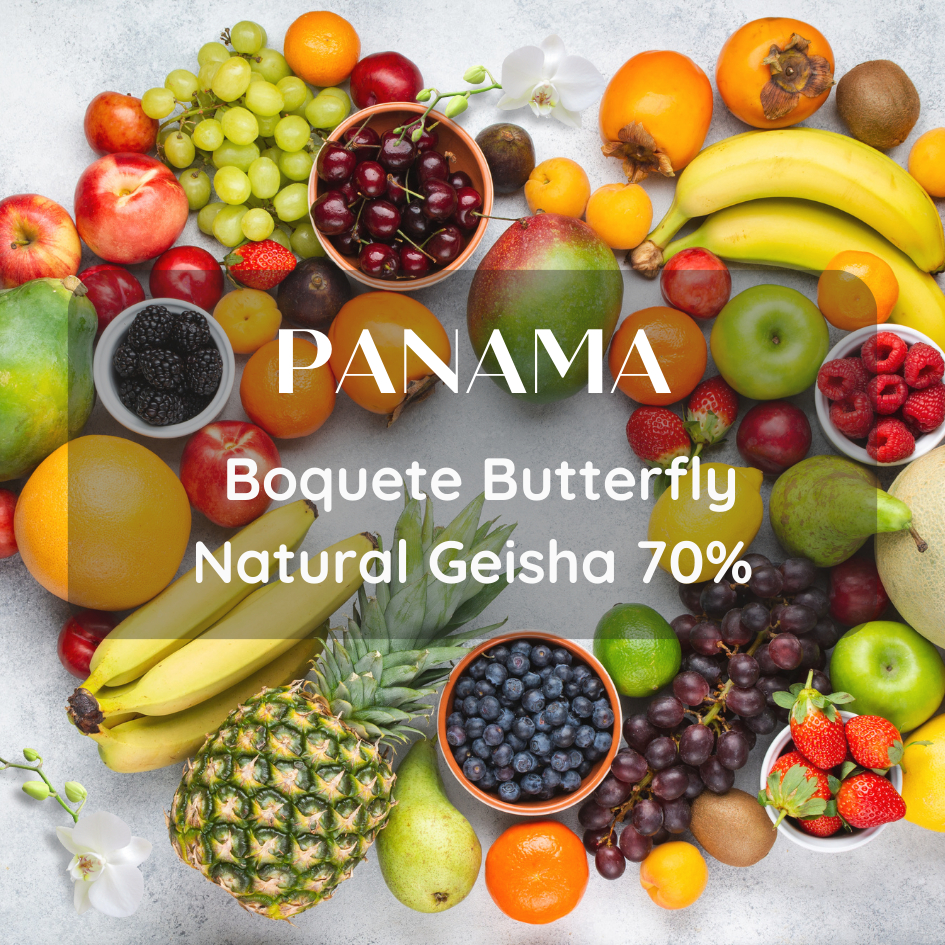 สารเมล็ดกาแฟ Panama Boquete Butterfly Natural Geisha 70% 1000g