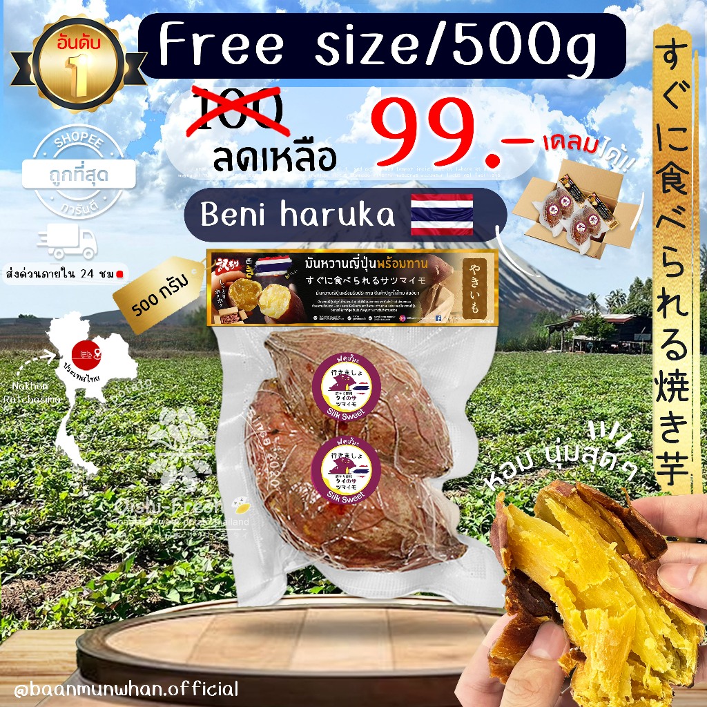 Oishi-Fresh มันหวานญี่ปุ่นSilk sweet   ปลูกไทย  เผาพร้อมทาน เนื้อเหลือง นุ่ม หอม ฉ่ำ หวานออร์แกรนิค หวาน จัดส่ง 24ชม.