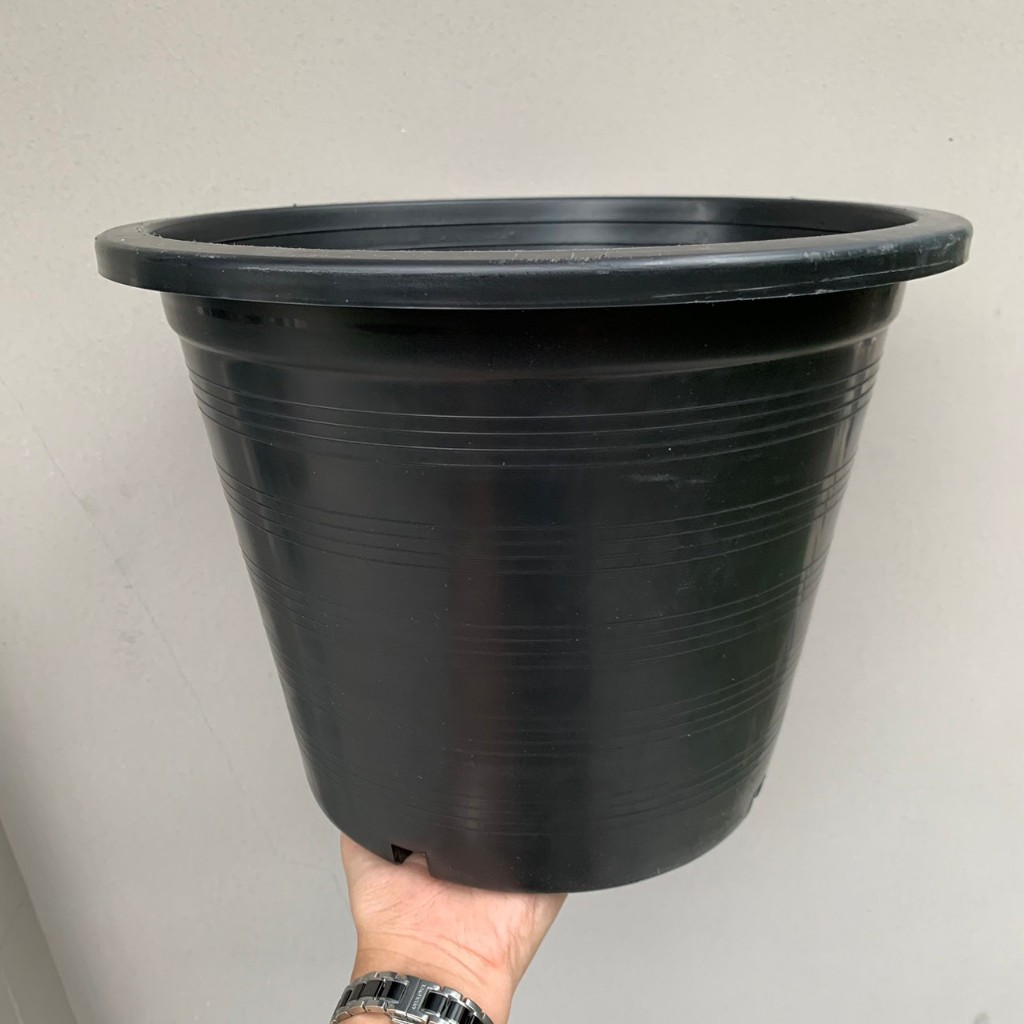 กระถาง กระถางดำ กระถางพลาสติก ขนาด 12" 15" 17"