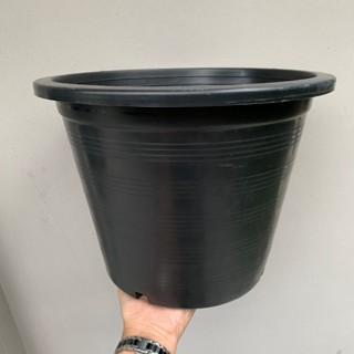 กระถาง กระถางดำ กระถางพลาสติก ขนาด 12