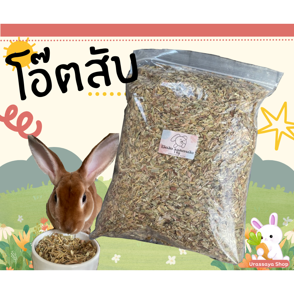 หญ้าโอ๊ตสับออสเตรเลียพรีเมี่ยม ช่วยลับฟันสัตว์เลี้ยงได้ดีมาก ลอตใหม่หอมๆ