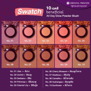 บลัชออน ปัดแก้ม Oriental Princess Beneficial Individualist Luminous Cheek Colours ของแท้ 💯