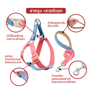 [สินค้าราคาพิเศษ] เซ็ทสายจูงรัดอก หรือ เซ็ทสายจูงปลอกคอ สายจูงสุนัข การันตีคุณภาพ | CLAWSET.BKK