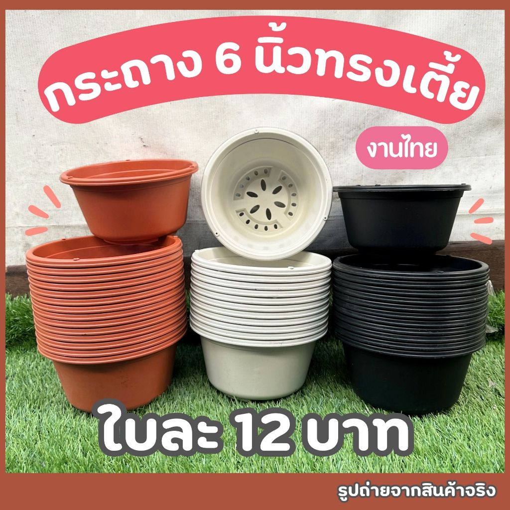 กระถางขนาด 6 นิ้ว ทรงเตี้ย กระถางต้นไม้พลาสติก กกระถางต้นไม้คุณภาพดี