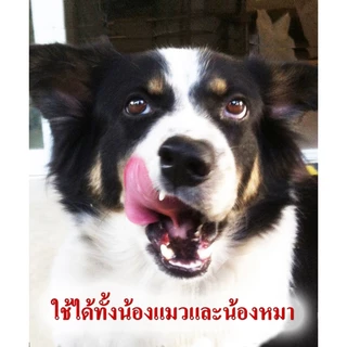 Little Garden : ลิตเติ้ล การ์เด้นท์ 500 ไซส์ใหญ่ประหยัดสูงสุด