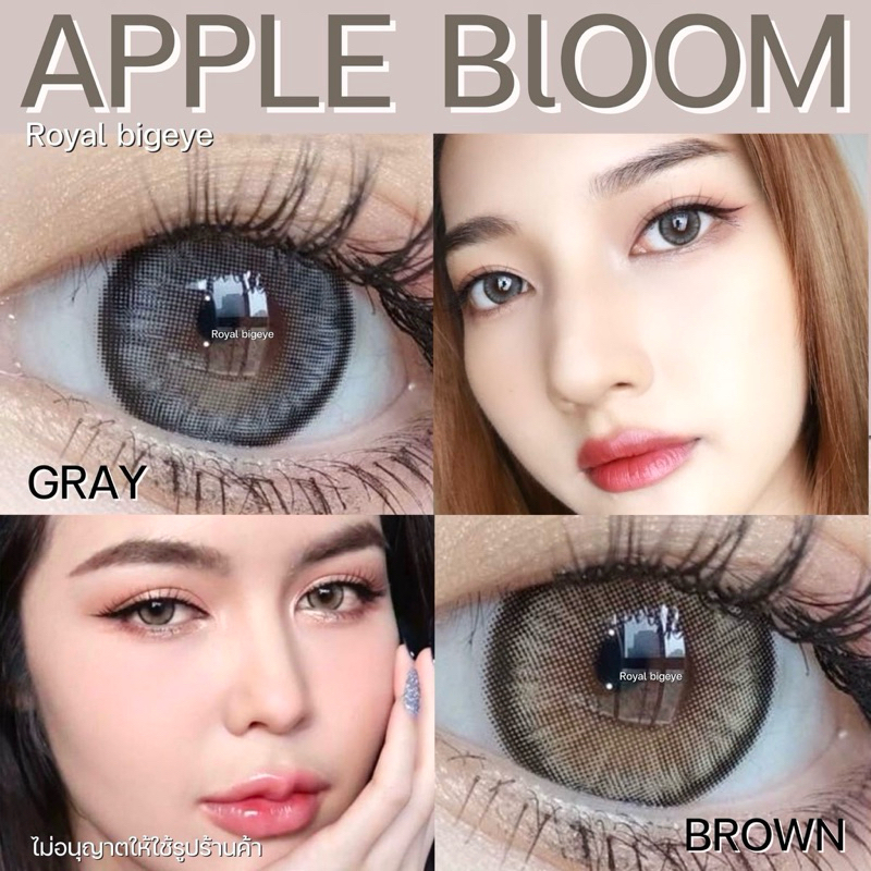 คอนแทคเลนส์ Apple Bloom Gray / Brown - Luxzylens สีเทา/สีน้ำตาลขนาดมินิขายดี มีสายตาถึง -7.00