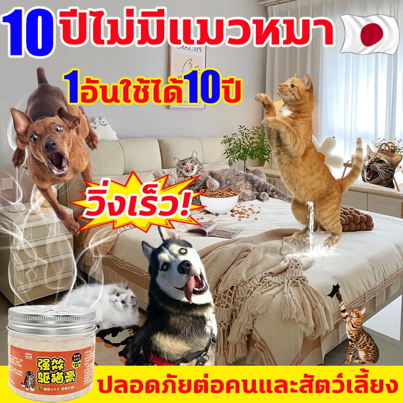 #ไล่แมว #ขับไล่แมว #ป้องกันแมว #สัตว์เลี้ยง #แก้ไขปัญหากับสัตว์เลี้ยง