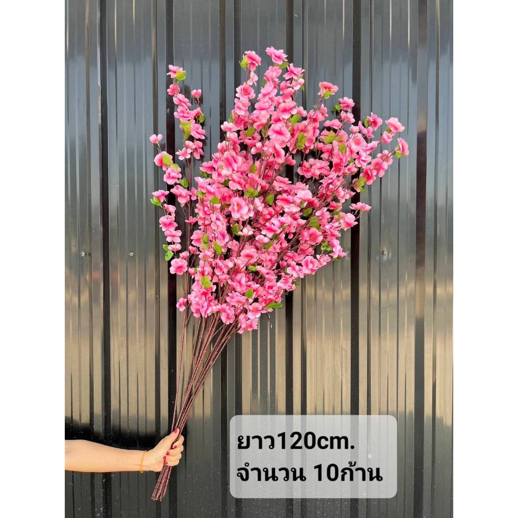 ซากุระ ประดิษฐ์ ก้านซากุระ ยาว120cm. และ ซากุระย้อย ยาว130cm. ดอกเหมย สำหรับใส่กระถาง แจกัน